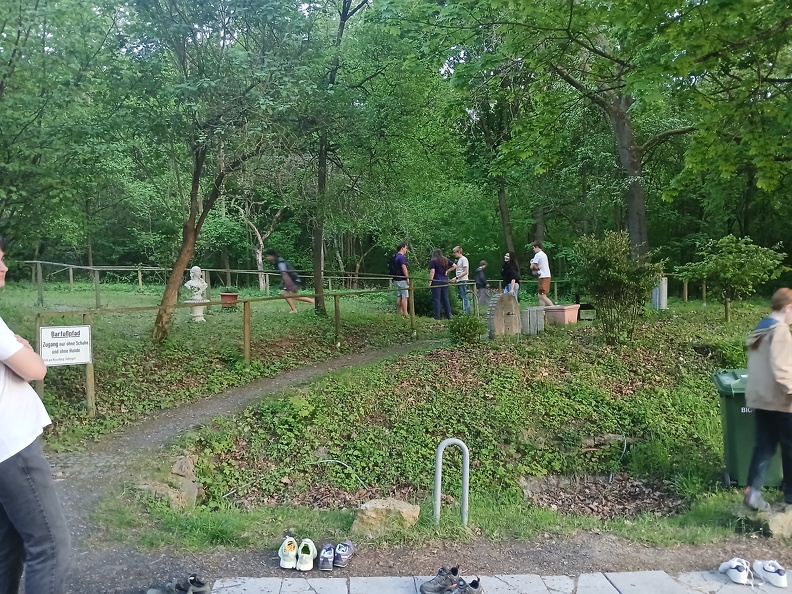 20250501_203921.jpg