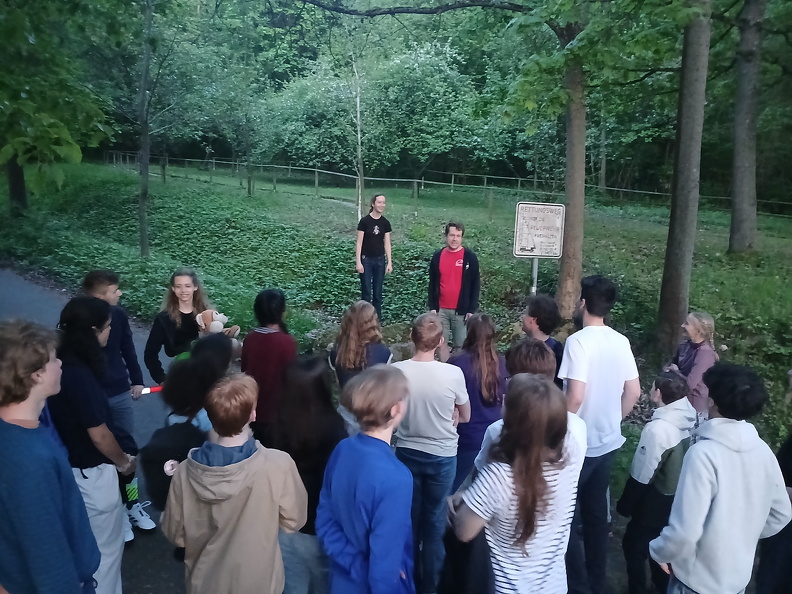 20250501_205623.jpg