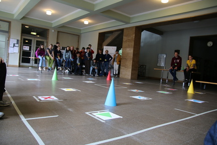 Rasende Roboter
