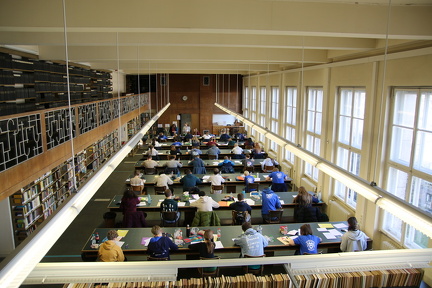 IMG 7686