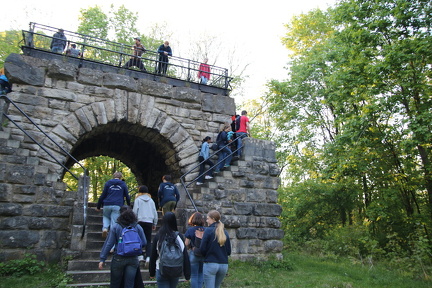 IMG 8729