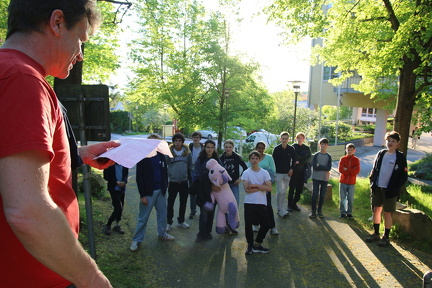 IMG 8719