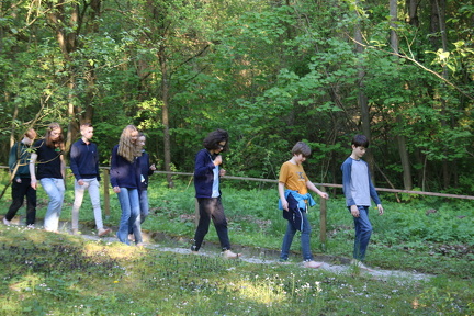 IMG 8707